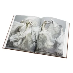 The Metropolitan Museum of Art Alexander Mcqueen: Savage Beauty Online