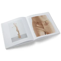 The Metropolitan Museum of Art Charles Ray: Figure Ground Sale