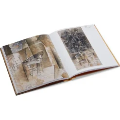 The Metropolitan Museum of Art Picasso: A Cubist Commission In Brooklyn New