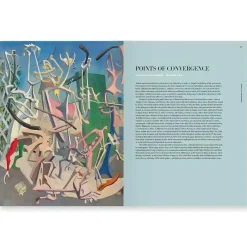The Metropolitan Museum of Art Surrealism Beyond Borders New