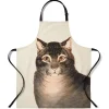 The Metropolitan Museum of Art The Favorite Cat Apron Fashion
