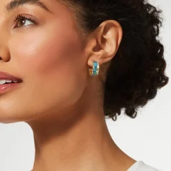 The Metropolitan Museum of Art Van Gogh Irises Enamel Hoop Earrings Online